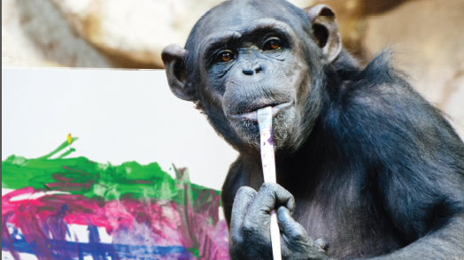 Zobacz obrazy szympansicy Lucy z warszawskiego ZOO