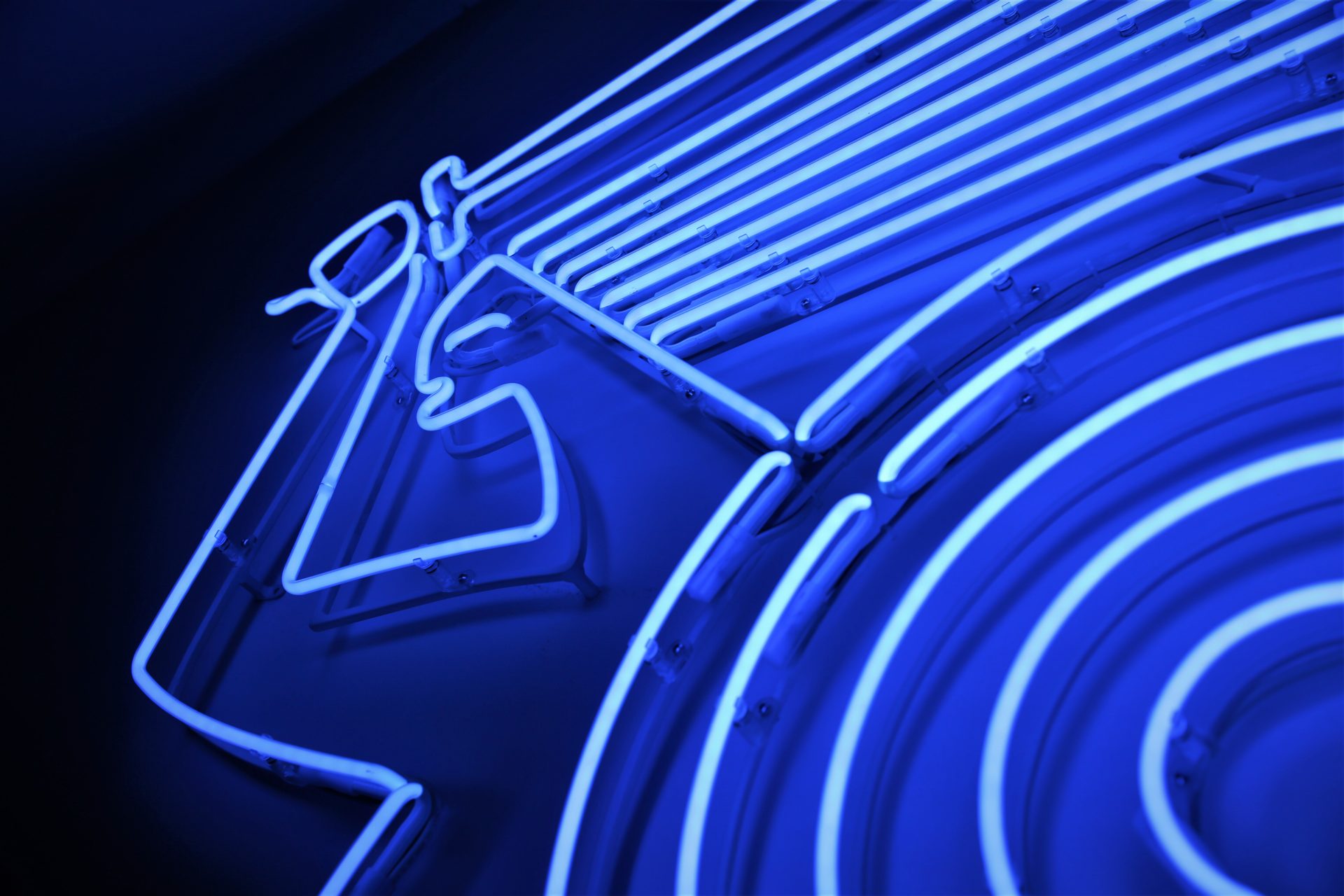 zdjęcie niebieskiego neonu w kształcie syreny