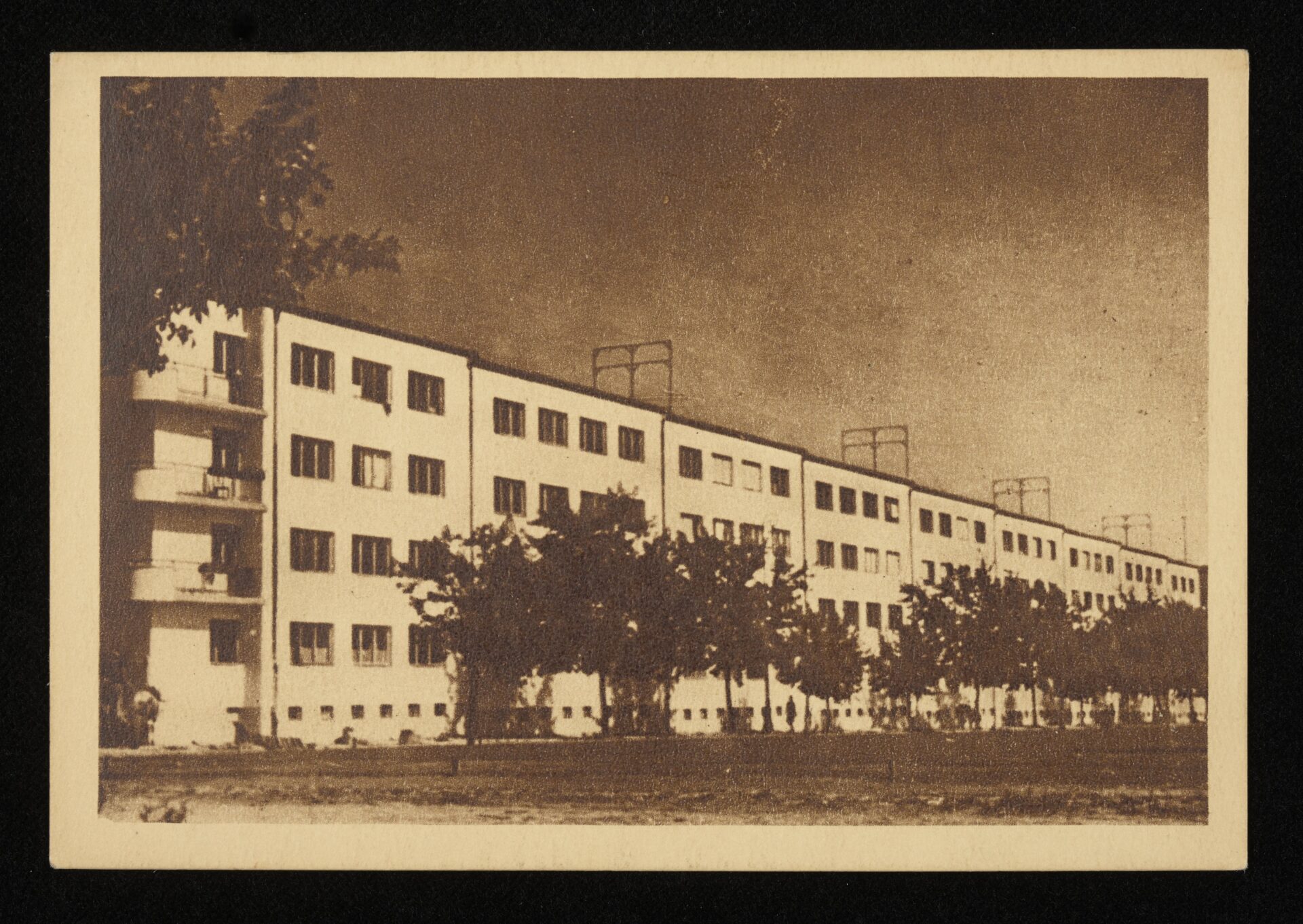 Czarno białe zdjęcie archiwalne. Jasny blok mieszkalny z czterema kondygnacjami. Przed nim zasadzone drzewa.