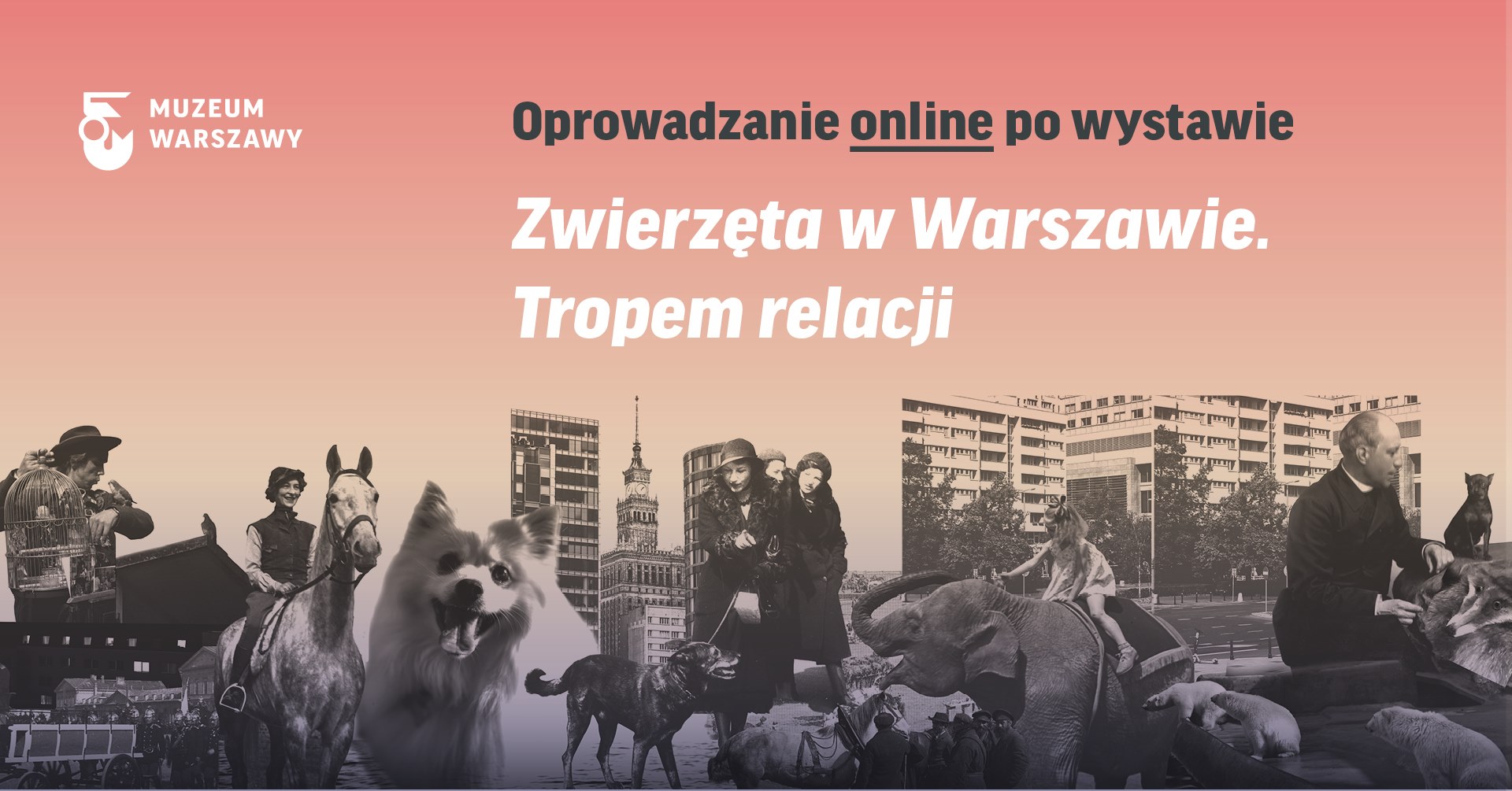 Zwiedzanie wystawy „Zwierzęta w Warszawie. Tropem relacji” ONLINE