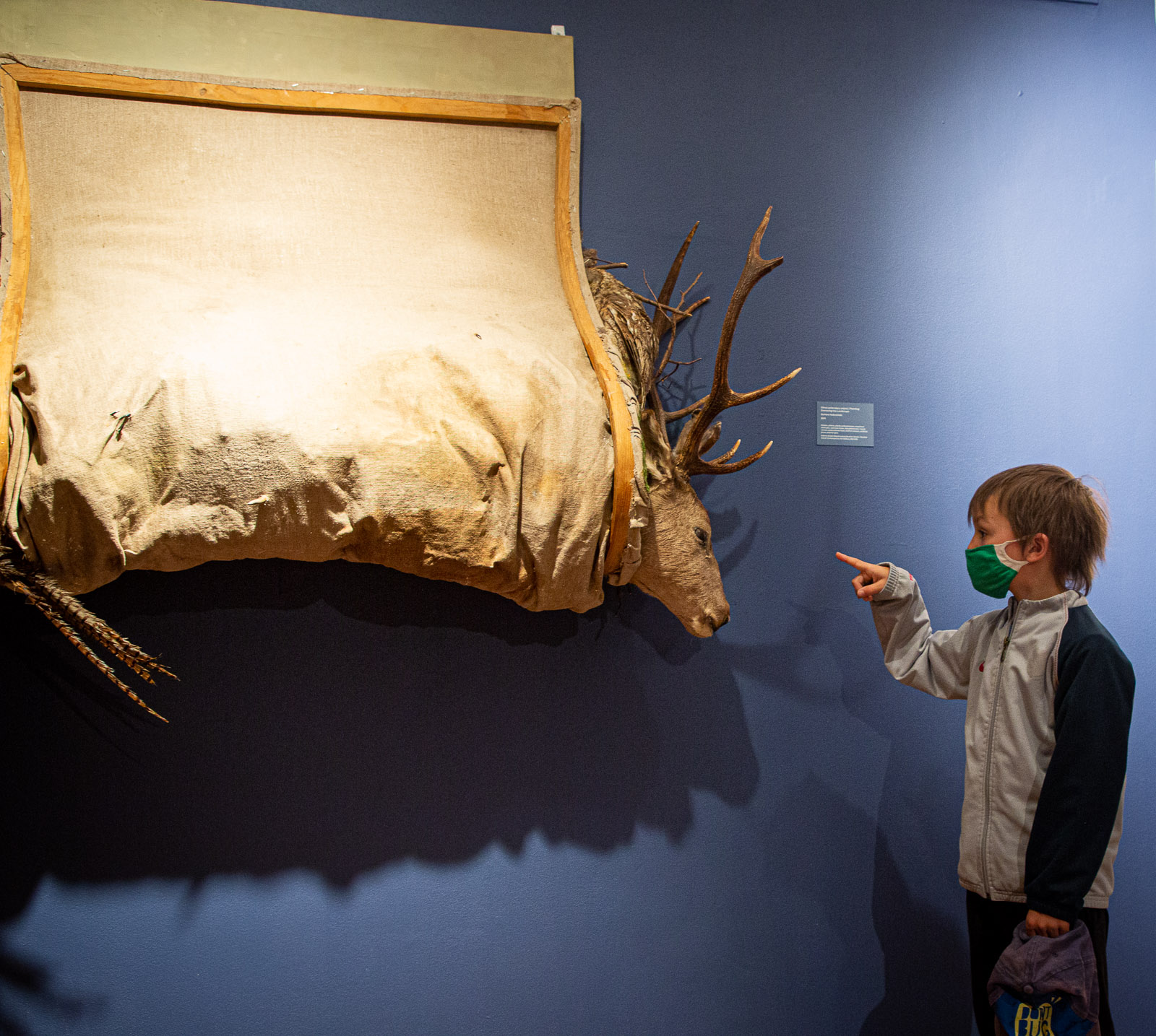 po prawek chłopiec wyciąga palec w stronę eksponatu na wystawie, po lewej eksponat głowa jelenia z porożem zawinięta w płótno wiszące na ścianie, oświetlone, wydaje się ze cały jeleń jest zawinięty w płótno