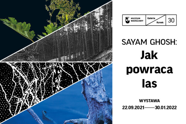 Zapowiedź nowej wystawy: Sayam Ghosh: Jak powraca las