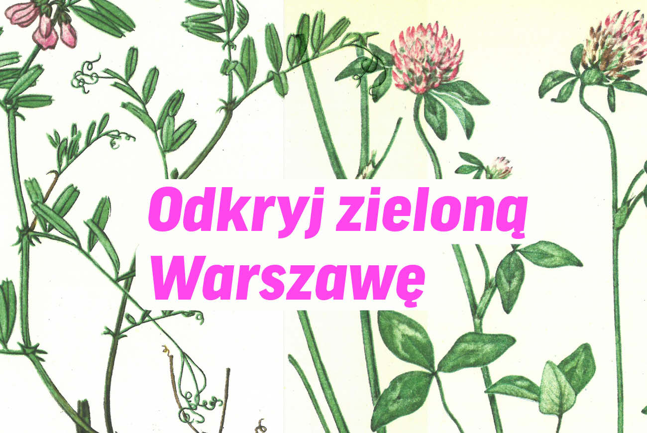 Odkryj zieloną Warszawę