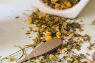 Zielarstwo i&nbsp;ziołolecznictwo. Przeszłość – teraźniejszość