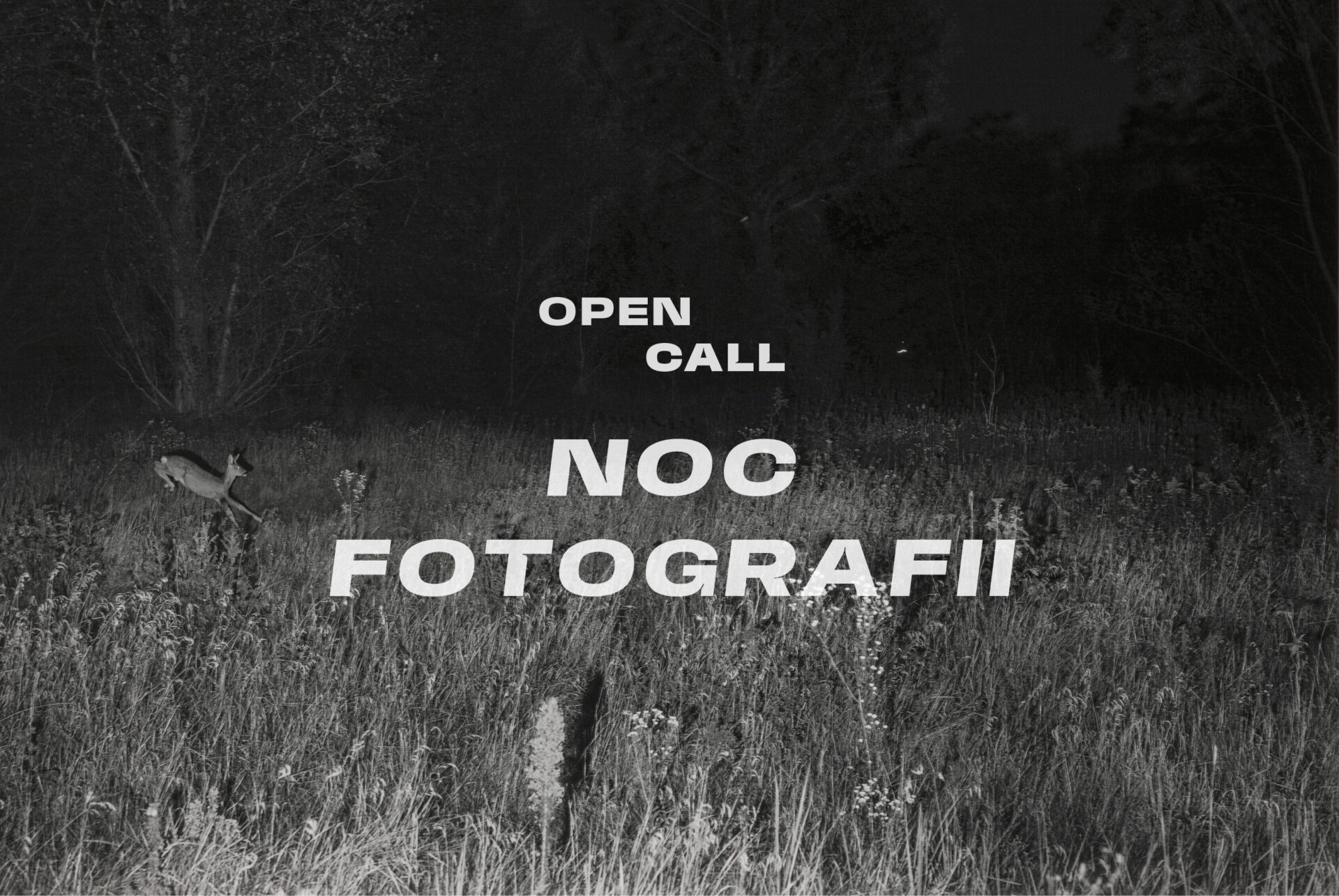 Open Call Noc Fotografii 2026