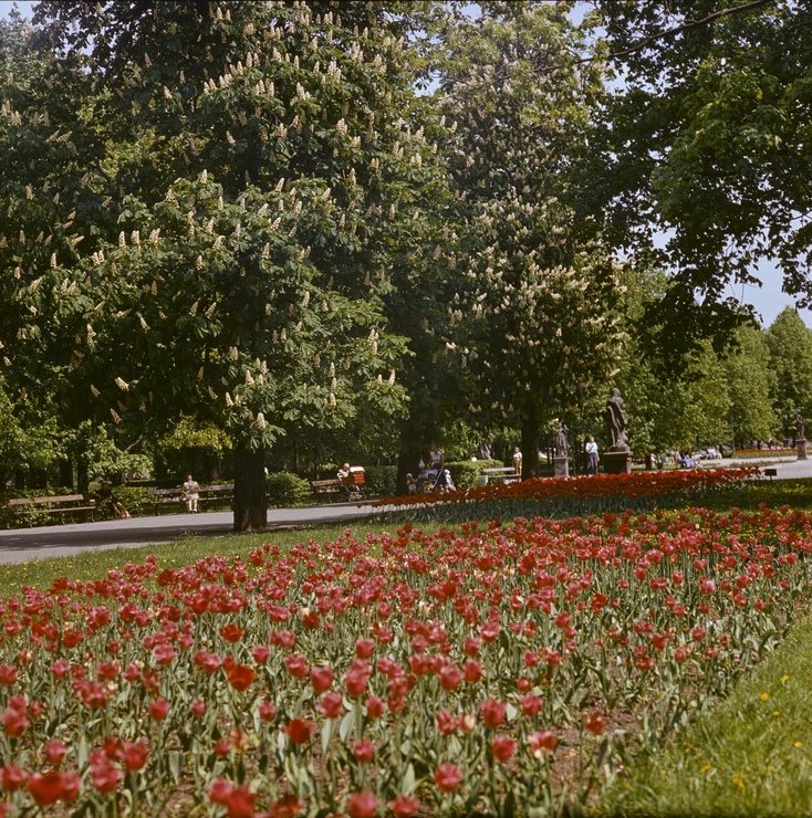 Majówka w&nbsp;sercu Warszawy?